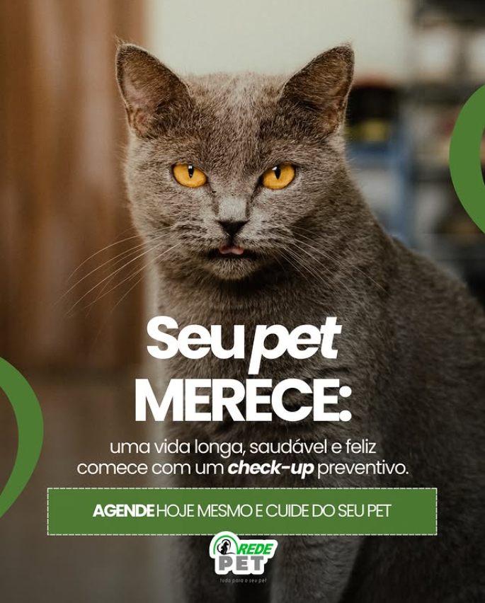 Campanha de check-up preventivo da Rede Pet com gato cinza